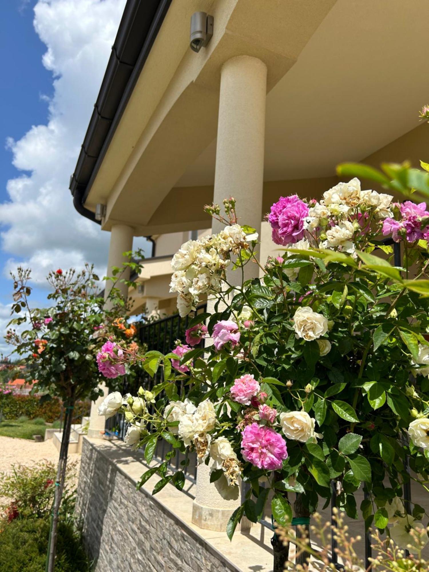 Apartman Marija เมจูโกเรีย ภายนอก รูปภาพ